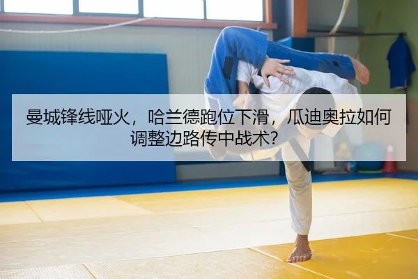 man-cheng-feng-xian-ya-huo-ha-lan-de-pao-wei-xia-hua-gua-di-ao-la-ru-he-tiao-zheng-bian-lu-chuan-zhong-zhan-shu-2-207.jpg